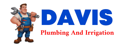 Trusted plumber in MARTINTON